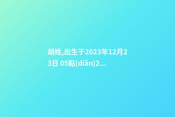 胡姓,出生于2023年12月23日 05點(diǎn)24分，幫忙八字測算并起名
